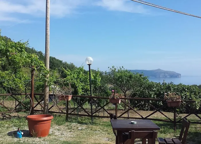Farma Valle Di Marco *