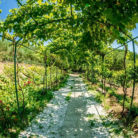 Valle Di Marco Farm stay