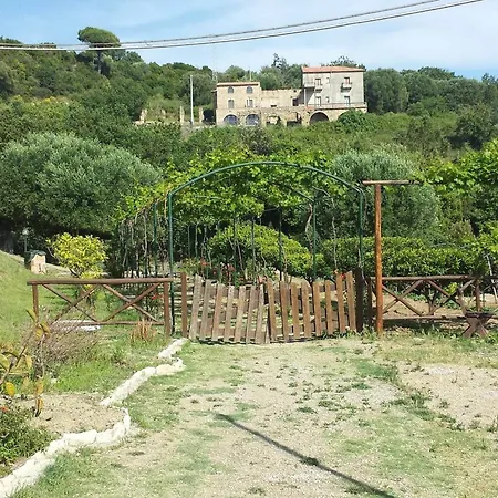 Valle Di Marco *